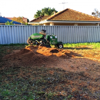 Stump grinding - Bentley